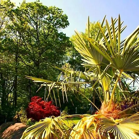 Le Domaine Des Chevaliers De Malte Bed & Breakfast Villedieu-les-Poeles-Rouffigny