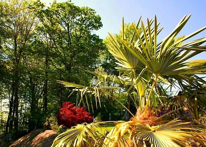 Le Domaine Des Chevaliers De Malte Bed & Breakfast Villedieu-les-Poeles-Rouffigny